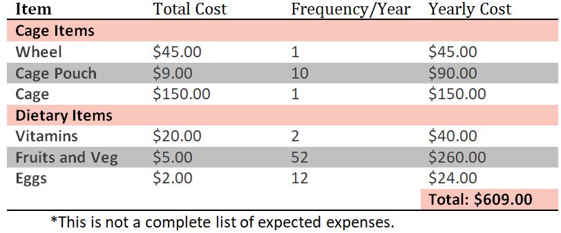 table of expenses