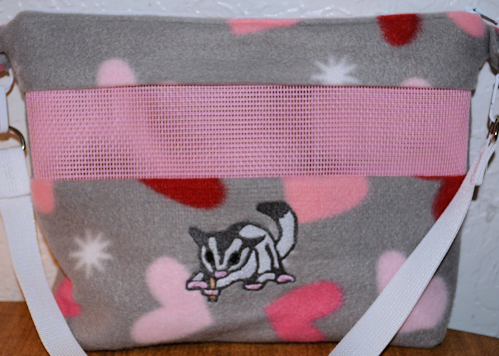 squirrel sugar glider